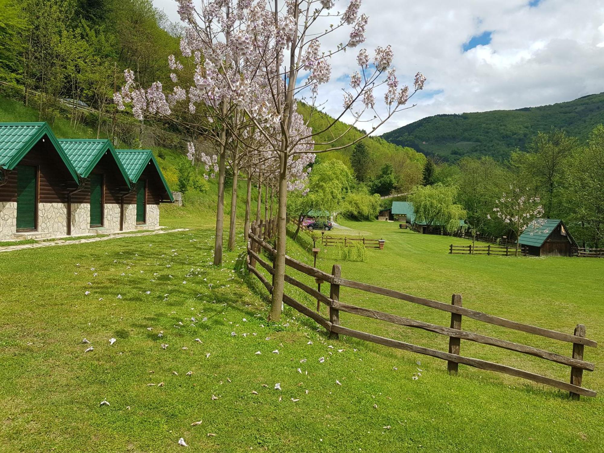 Camping Drina Foca Exteriör bild